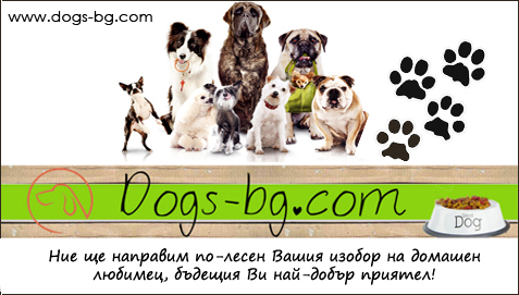 Dogs-bg.com
